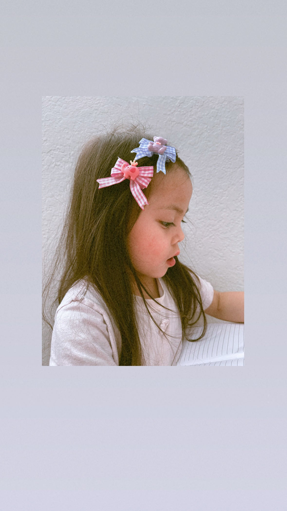 Pink and Blue Gingham Clip