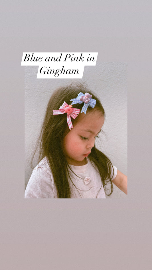 Pink and Blue Gingham Clip