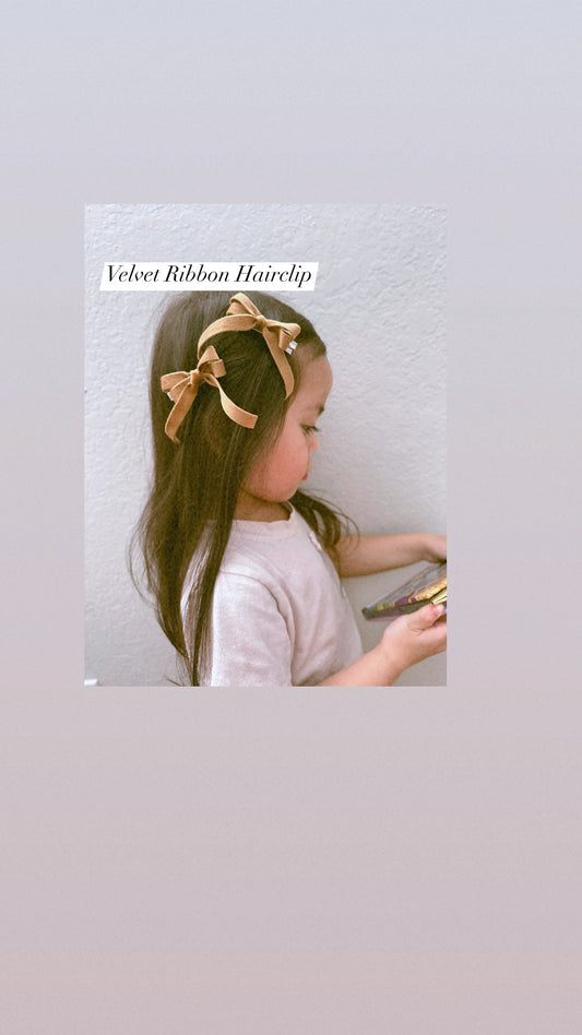 Velvet Ribbon Hairclip